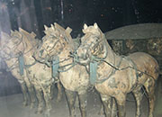 Terracotta Warriors & Horses