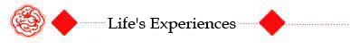 Life's Experiences