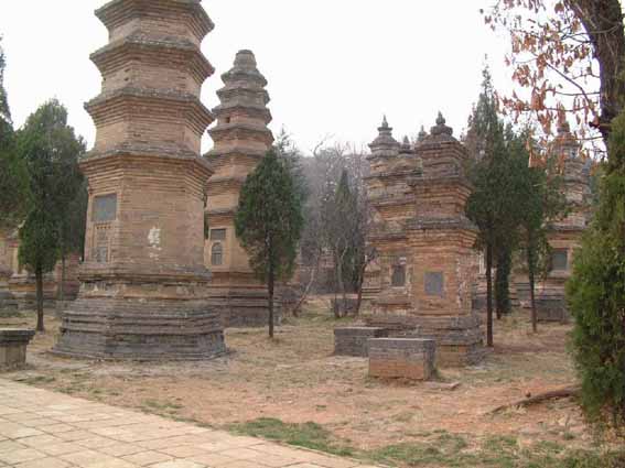 Pagoda Forest