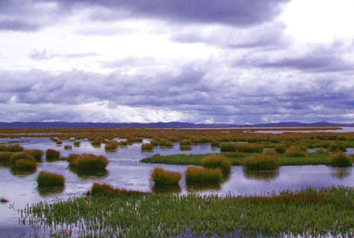 Flowers Lake