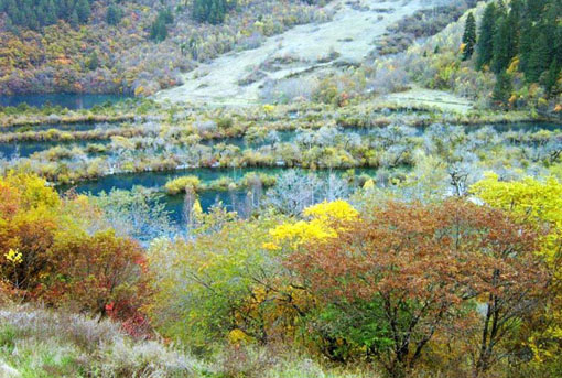 Shuzheng Valley