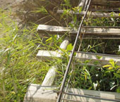 Tiger Leaping Gorge